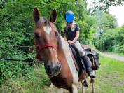 Magnifique cheval OC hongre pie de 12 ans pour loisir