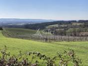 25ha de terres avec lac d'irrigation dont 5ha d'amandiers