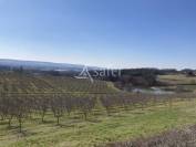 25ha de terres avec lac d'irrigation dont 5ha d'amandiers