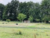 Situ&eacute;e dans le Maine-et-Loire (49), &agrave; proximit&eacute; de Saumur, ce