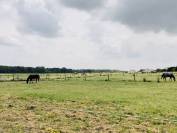 Situ&eacute;e dans le Maine-et-Loire (49), &agrave; proximit&eacute; de Saumur, ce