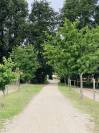 Situ&eacute;e dans le Maine-et-Loire (49), &agrave; proximit&eacute; de Saumur, ce