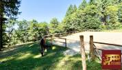 Equestrian Bed and Breakfast  Sa&ocirc;ne-et-Loire