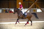 Cheval 