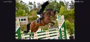 Jument CSO