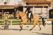 Lusitanien isabelle 11 ans 