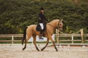 Lusitanien isabelle 11 ans 