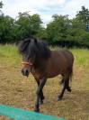 Nox, entier 3ans