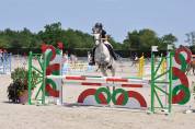 Ponette DSA de 13 ans 