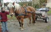 Voiture attelage 2 roues