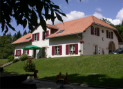 Pension pour cheval en retraite