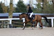 Ponette PFS pour As Elite