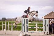 Ponette Connemara pour GP