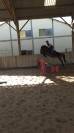 Ponette 6 ans crois&eacute;e welsh