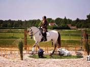 Ferrero, Hongre PRE de 11 ans