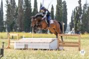 Poulain 2026 par Contendro 