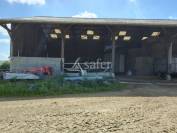 Azienda lattaia In vendita Mayenne