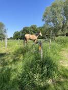 Federico PRE PP 2 ans 