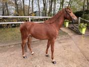 &Agrave; VENDRE 