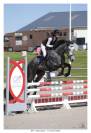 HONGRE 4 ans, super potentiel AMATEUR