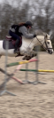 poney C &agrave; vendre