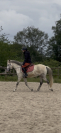poney C &agrave; vendre