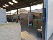 Pension chevaux 
