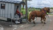 Service civique groom de roulotte et animateur.trice na