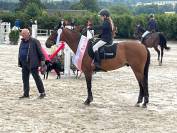 Top cheval de cso pour enfant 