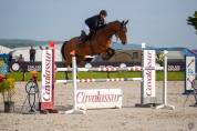 Hongre 12 ans - CSO Amateur 1
