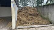 Pension de chevaux du chateaux 76279 Neuville-Ferri&egrave;res