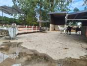 Pension de chevaux du chateaux 76279 Neuville-Ferri&egrave;res