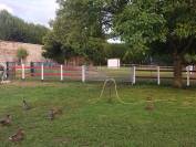 Pension de chevaux du chateaux 76279 Neuville-Ferri&egrave;res