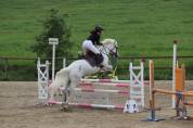 Poney de sport Connemara