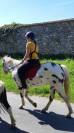 Appaloosa black l&eacute;opard de 6 ans