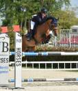 Excellent poney &Agrave; VENDRE 