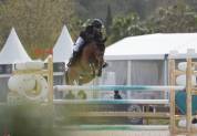 Excellent poney &Agrave; VENDRE 