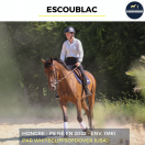ESCOUBLAC - PS - 4 ANS