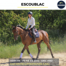 ESCOUBLAC - PS - 4 ANS