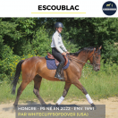 ESCOUBLAC - PS - 4 ANS
