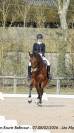 Hongre - BWP - 15 ans - Dressage / CDI YR - France