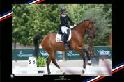 Hongre - BWP - 15 ans - Dressage / CDI YR - France