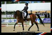 Hongre - BWP - 15 ans - Dressage / CDI YR - France