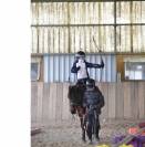poste de moniteur d'&eacute;quitation