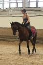 &Agrave; vendre &ndash; pur-sang &ndash; 11 ans