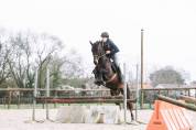 CHEVAL DE SELLE OC