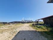 Sheep farm  Lot