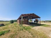 Sheep farm  Lot