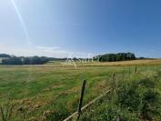 Sheep farm  Lot