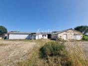Sheep farm  Lot